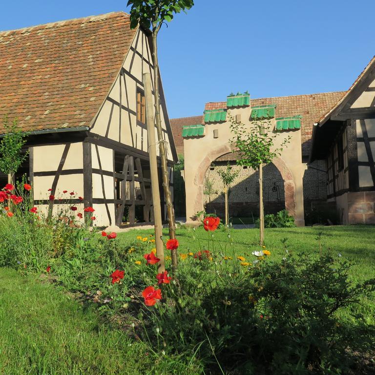Gite D'Audrey Et Jean Uttenheim Exteriér fotografie